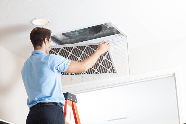 Best Air Filters and Purifiers in Caro, MI